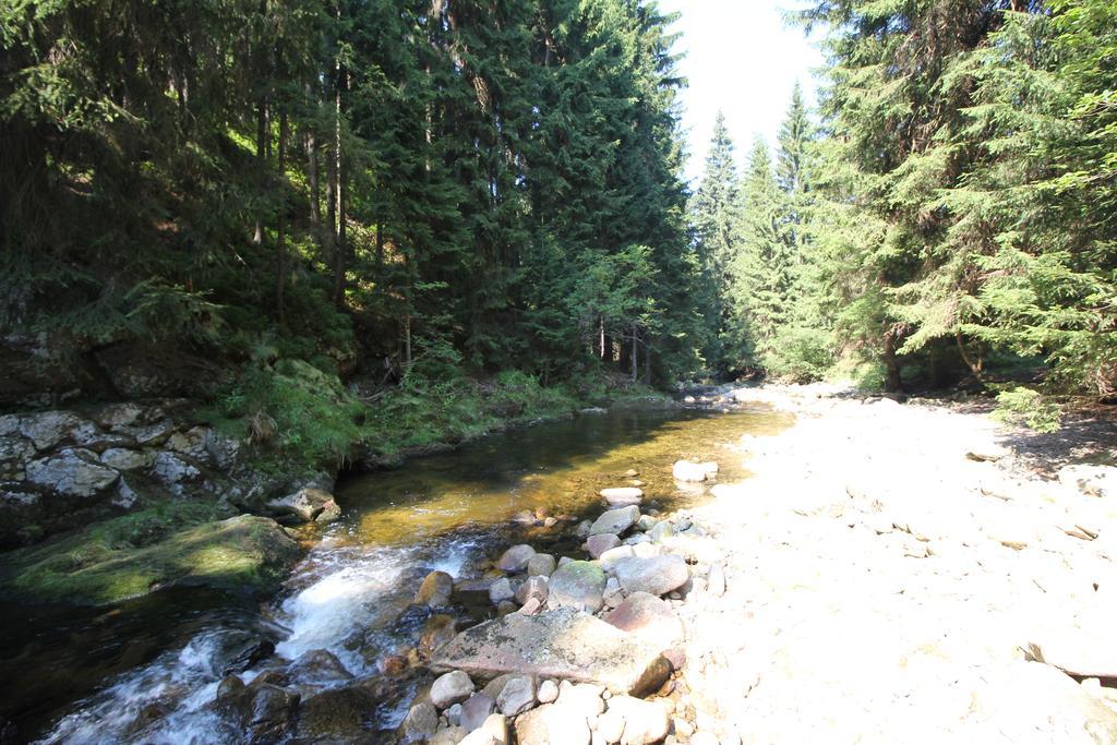 Chalet Schaefer Harrachov Zewnętrze zdjęcie